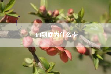 dnf到底为什么卡