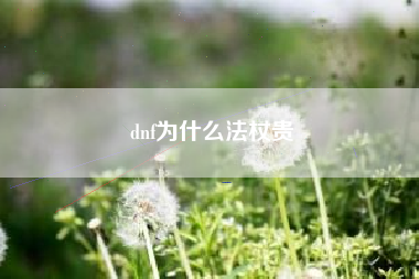 dnf为什么法杖贵