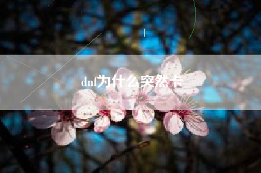 dnf为什么突然卡