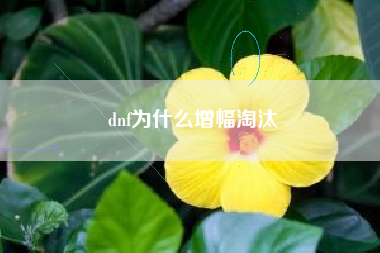 dnf为什么增幅淘汰