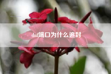 dnf端口为什么追封