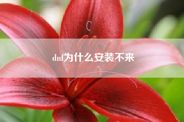 dnf为什么安装不来