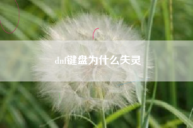 dnf键盘为什么失灵