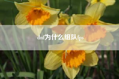 dnf为什么组队fps