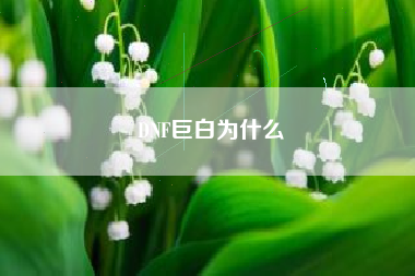 DNF巨白为什么