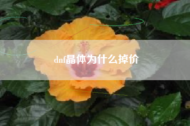 dnf晶体为什么掉价