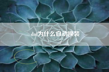 dnf为什么自动换装