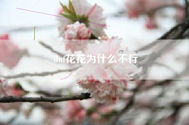 dnf花花为什么不行