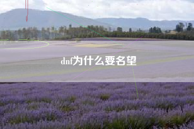 dnf为什么要名望