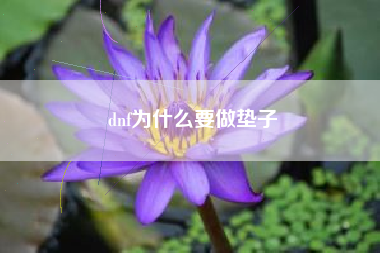 dnf为什么要做垫子