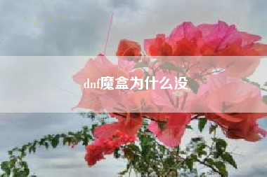 dnf魔盒为什么没