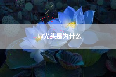 dnf光头是为什么