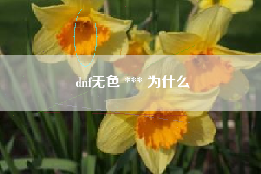 dnf无色 *** 为什么