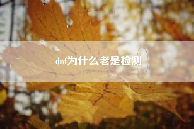 dnf为什么老是检测