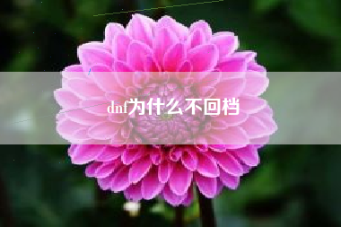 dnf为什么不回档