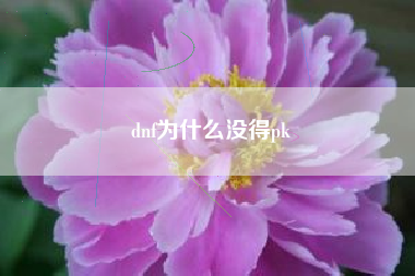 dnf为什么没得pk