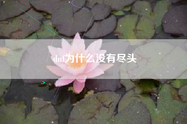 dnf为什么没有尽头