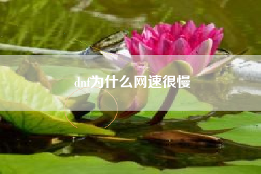 dnf为什么网速很慢