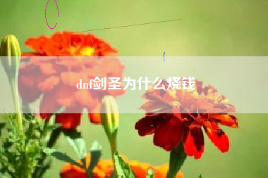 dnf剑圣为什么烧钱