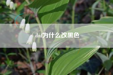 dnf为什么改黑色