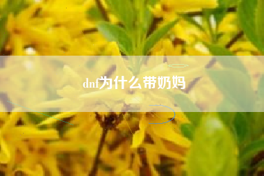 dnf为什么带奶妈