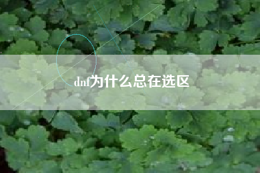 dnf为什么总在选区