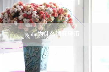 dnf为什么消耗硬币