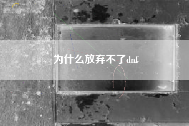 为什么放弃不了dnf