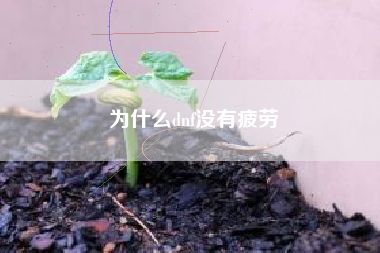 为什么dnf没有疲劳