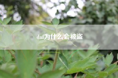 dnf为什么会被盗