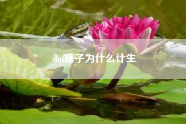 dnf瞎子为什么计生