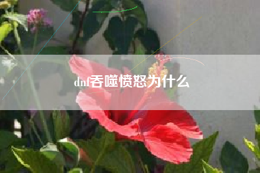 dnf吞噬愤怒为什么