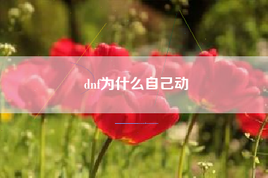 dnf为什么自己动