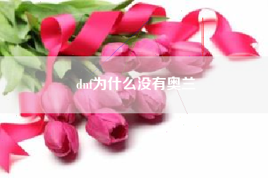 dnf为什么没有奥兰