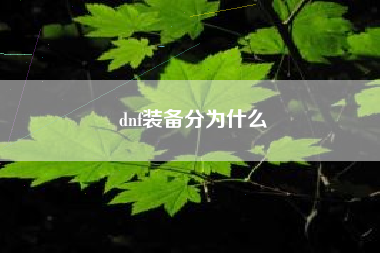 dnf装备分为什么