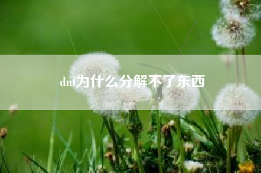 dnf为什么分解不了东西