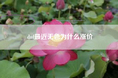 dnf最近无色为什么涨价