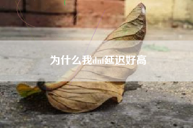 为什么我dnf延迟好高