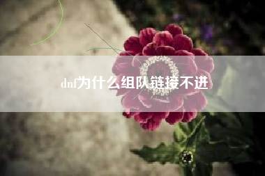 dnf为什么组队链接不进