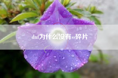 dnf为什么没有ss碎片