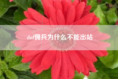 dnf佣兵为什么不能出站