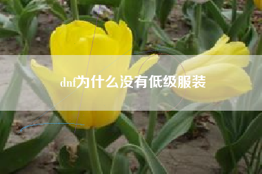 dnf为什么没有低级服装