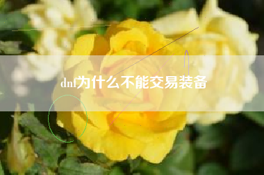 dnf为什么不能交易装备