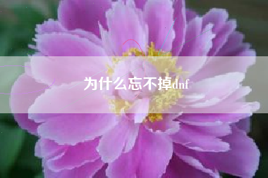 为什么忘不掉dnf