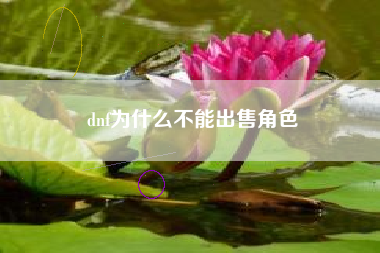 dnf为什么不能出售角色