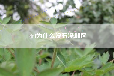 dnf为什么没有深圳区