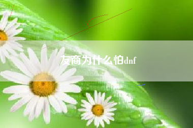 友商为什么怕dnf