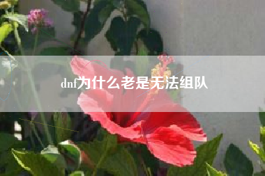 dnf为什么老是无法组队