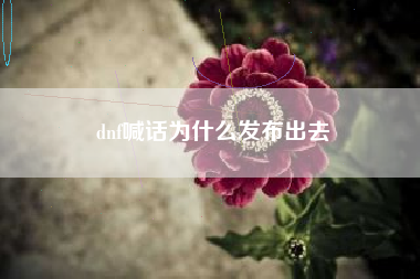 dnf喊话为什么发布出去