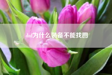 dnf为什么装备不能找回